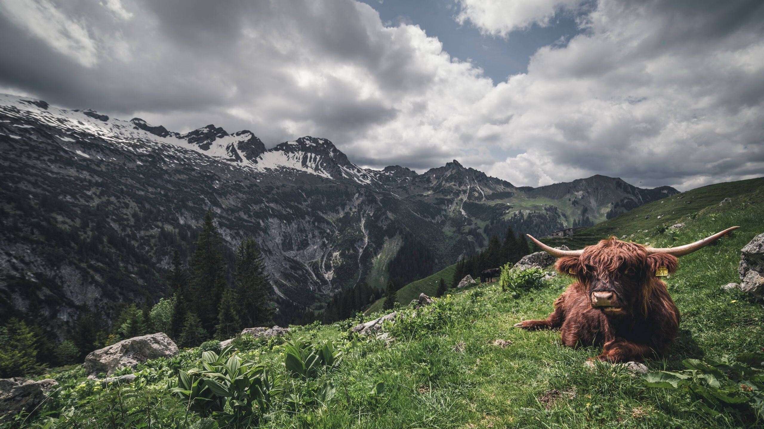 “未来之星：全国青少年足球基础训练营盛大开营”，校园足球未来之星申报材料2020年