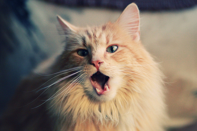 “西甲劲旅赢得关键战役，冲击榜首更进一步”，西甲精华第38期