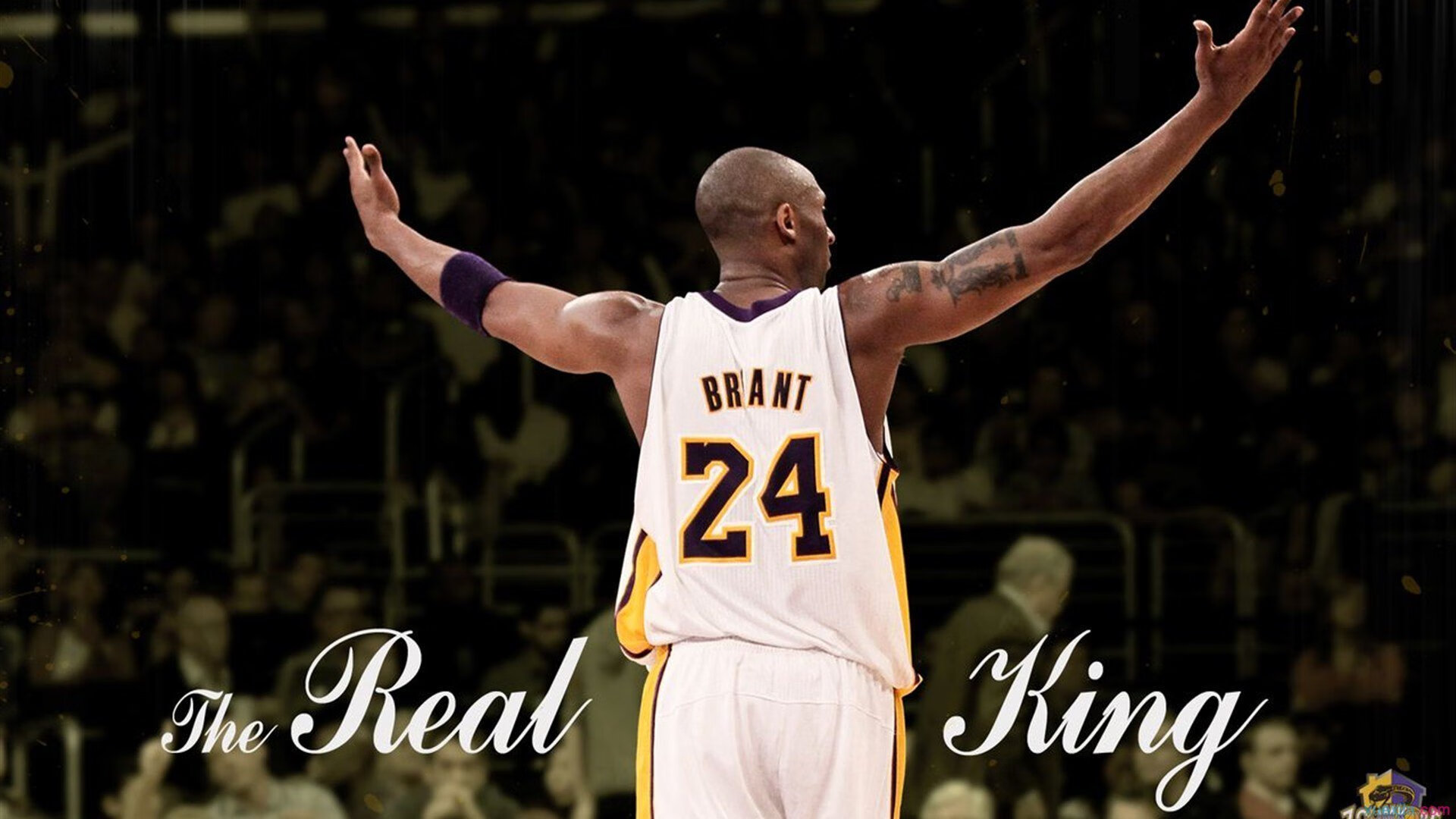 AIYOUXI.COM-训练营直播上线粉丝在线见证球员成长提升参与黏性，训练营玩法