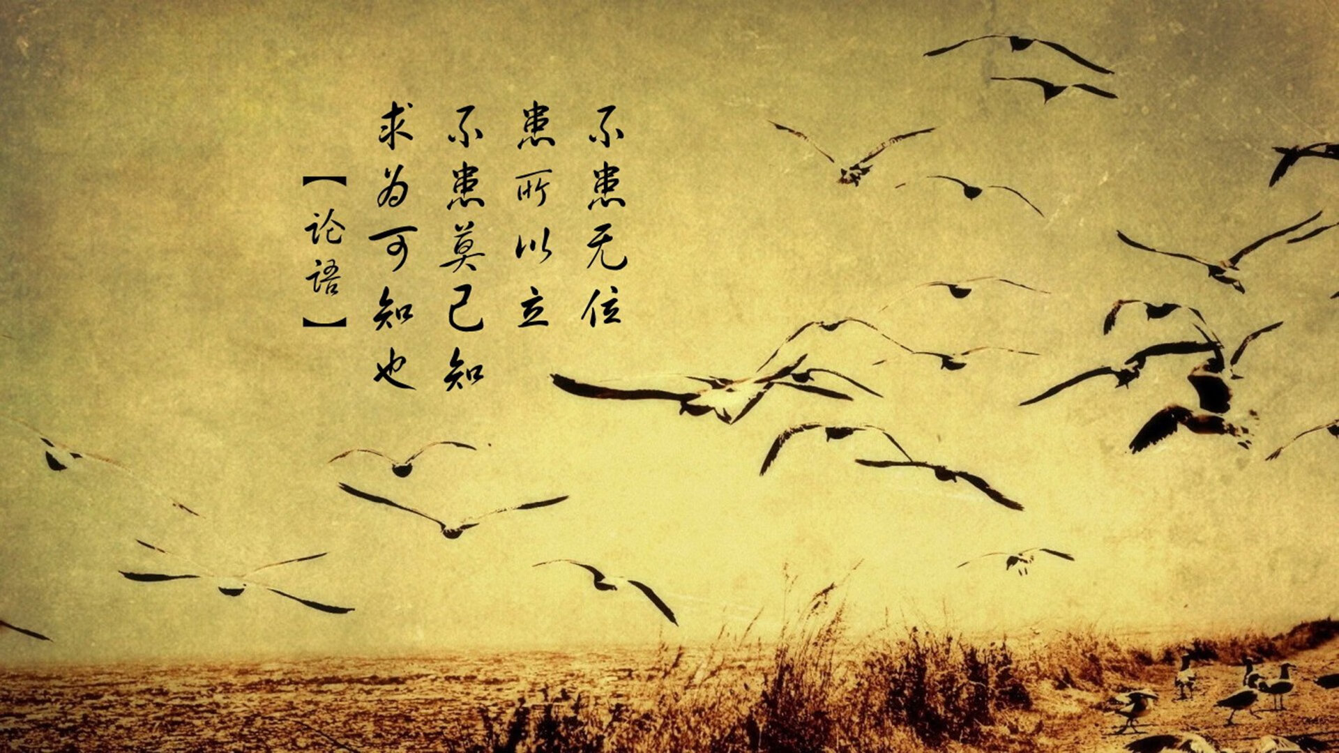 “青春逐梦”青少年篮球志愿者在北京发起爱心公益行动,弘扬志愿服务精神