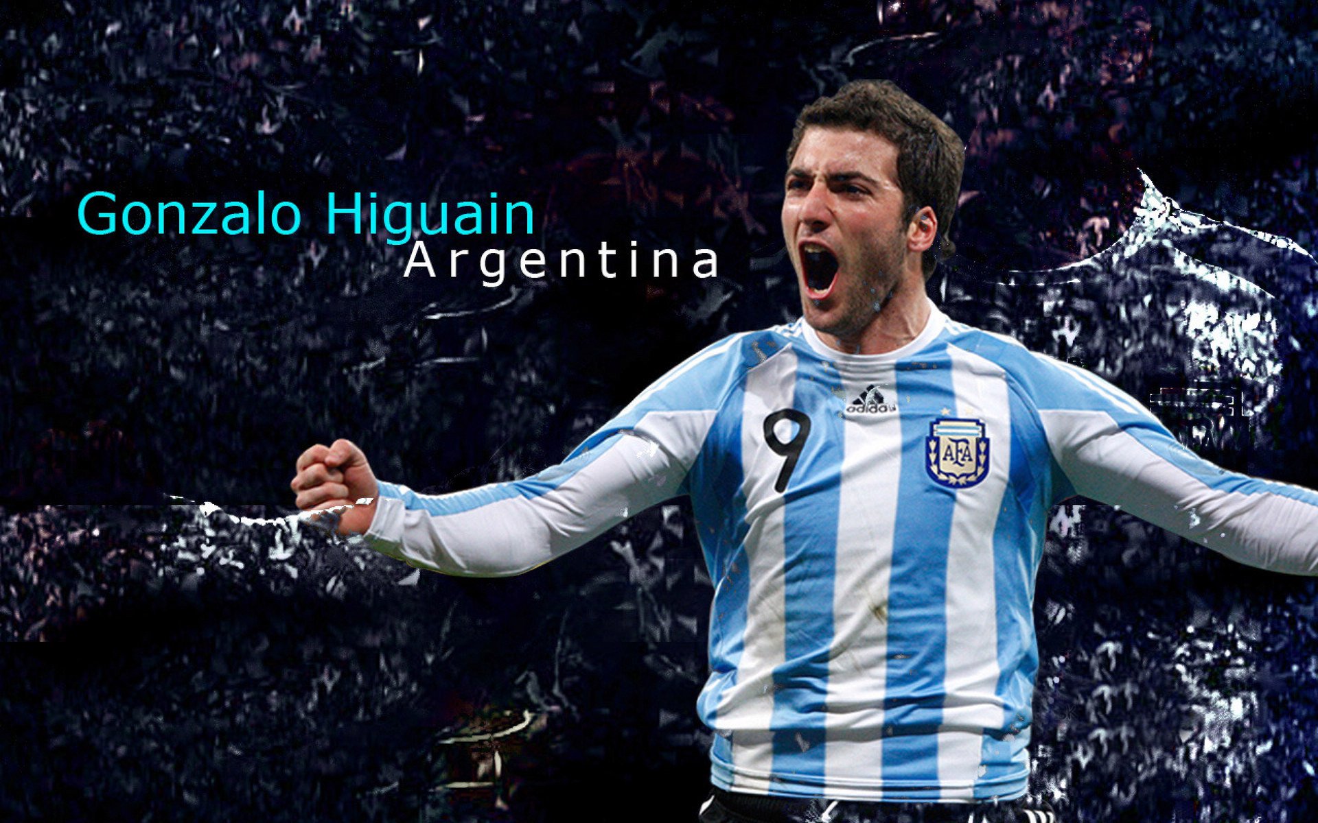 保利娜·普费夫稳扎稳打，跳台表现亮眼，保加利亚普罗夫迪夫音乐舞蹈艺术科学院